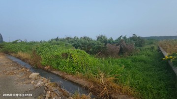 莿桐五華便宜好農地｜雲林縣莿桐鄉新庄子段