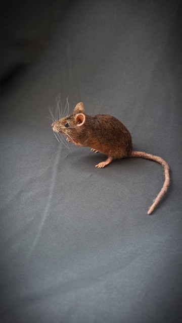 由羊毛製成的逼真的氈制老鼠雕像。禮物