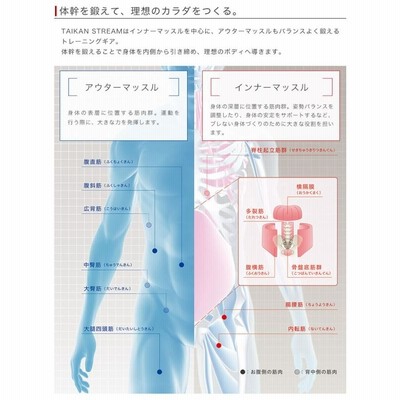 MTG タイカンストリーム スタンダード TAIKAN STREAM STANDARD