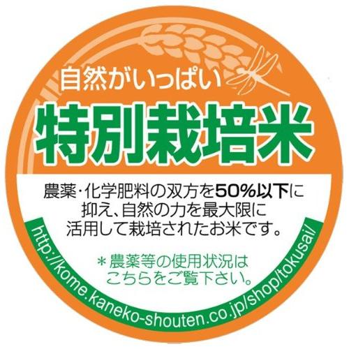  北海道 深川産 ななつぼし 特別栽培米 5kg 令和4年産 