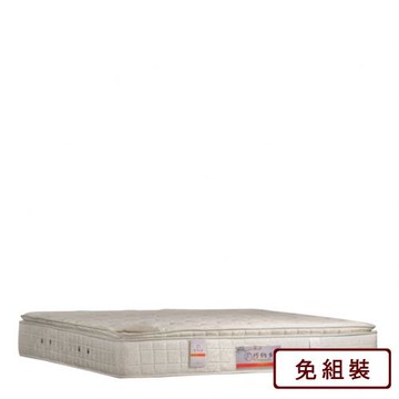 AS 不想下床硬式防螨床墊-5尺