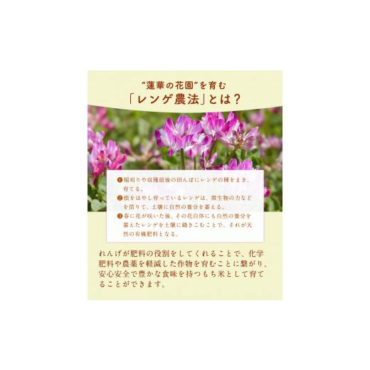 ふるさと納税 熊本県 氷川町 蓮華の花園(もち米) 10kg 精米 JAやつしろカントリー利用組合 熊本県 氷川町《30日以内に順次出荷(土日祝除く)》