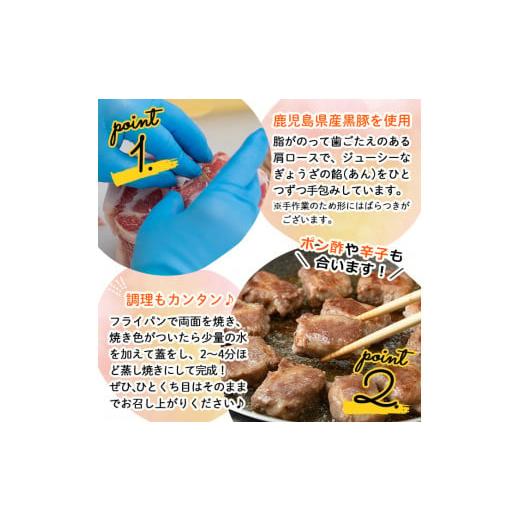 ふるさと納税 鹿児島県 志布志市 お肉屋さんの黒豚肉巻餃子 計30個(10個入×3袋) a1-009