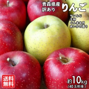 令和5年 りんご 訳あり 葉取らずりんご 10kg 青森県産 40玉前後 家庭用 わけあり リンゴ サンふじ 王林 ぐんま名月 あいかの香り リンゴ