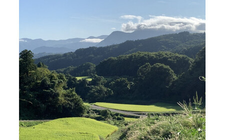 米 こしひかり 5kg × 12回 令和5年産 ファームトヤ 沖縄県への配送不可 2023年10月上旬頃から順次発送予定 コシヒカリ 白米 精米 お米 信州 156000円 予約 農家直送 長野県 飯綱町 [1139]