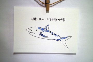 動物25/ 圈圈/ 鯊魚 /魚/ 手繪 /卡片 明信片