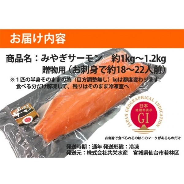 サーモン 刺身 みやぎサーモン 鮭 半身 約 1kg〜1.2kg 18人前 〜 22人前 国産 大 銀ざけ 銀鮭 アトランティックサーモン