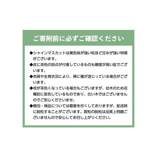 ふるさと納税 山梨県 甲府市 〈2024年度配送分〉山梨県甲府市産 ぶどうミックス 2房（シャイン・黒系ぶどう）