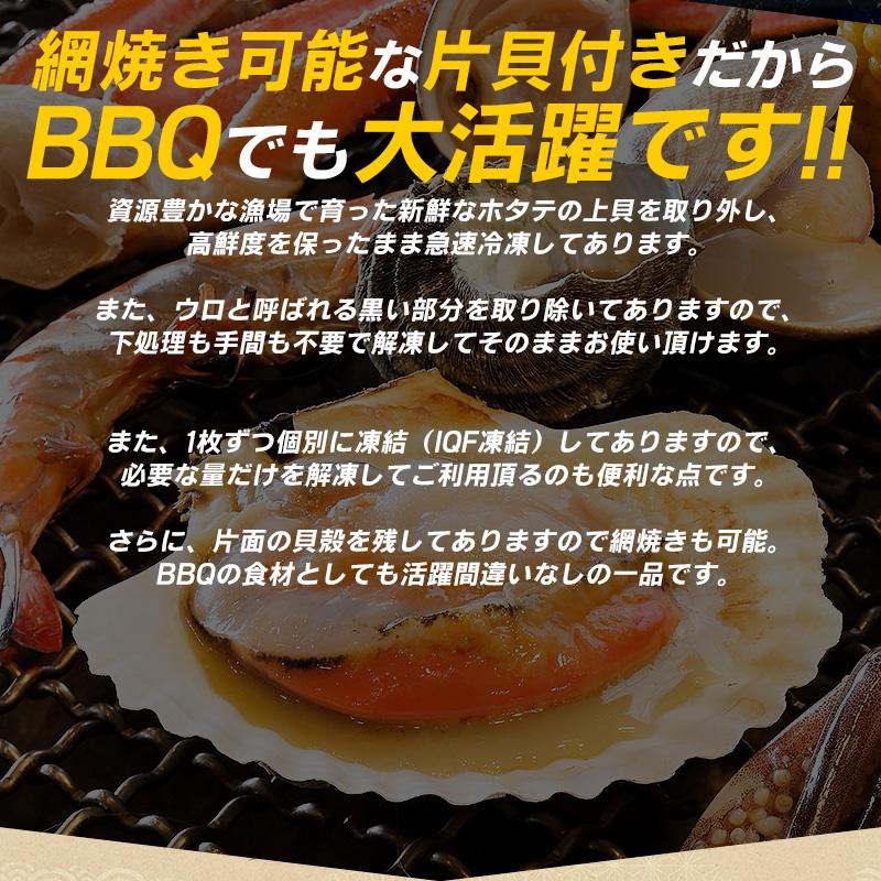 ホタテ ほたて 殻付き 片貝 ホタテ片貝 10枚 北海道産 海鮮 バーベキュー BBQ お歳暮 ギフト