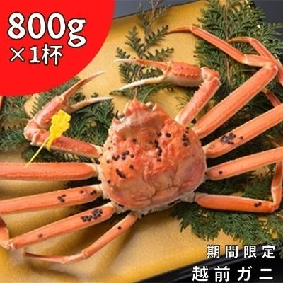 ふるさと納税 若狭町 茹で「越前ガニ」食通もうなる本場の味をぜひ、ご堪能ください　800g以上×1杯