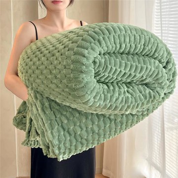 跨境豆豆絨純色毛毯加絨保暖絨毯多功能蓋毯毯子外貿稍等代發批發