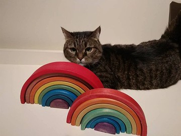 Wooden Toy Rainbow, Montessori Toy