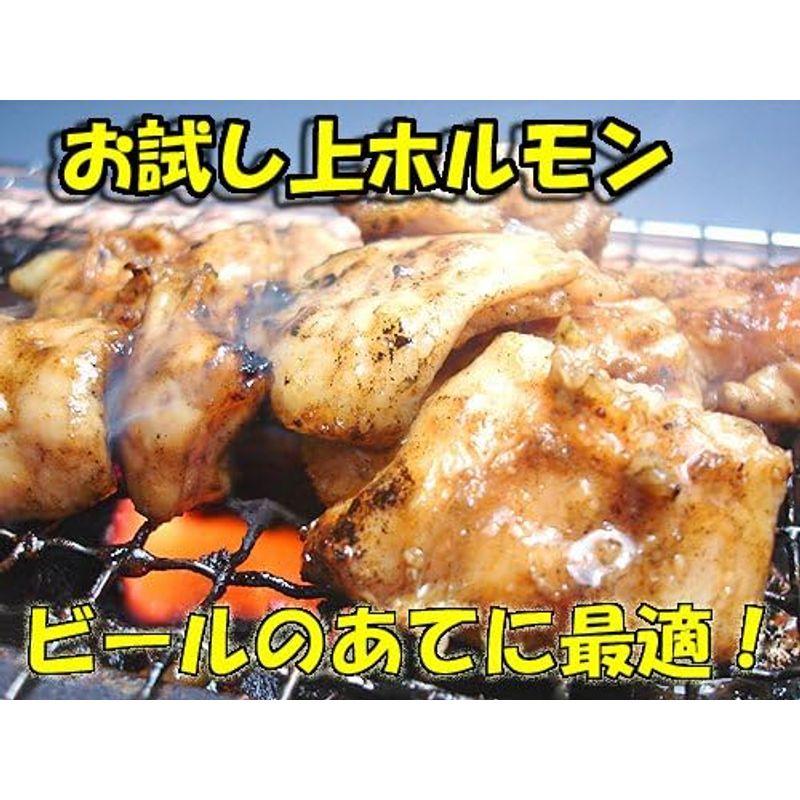 お試し上ホルモン300g x2