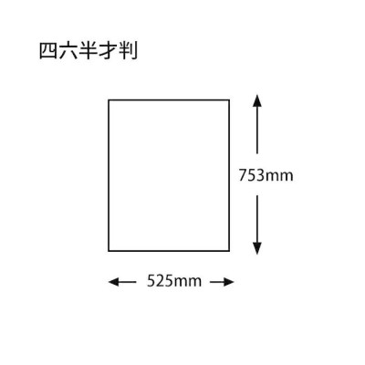 包装紙 特製菓子 No.28 四六半才 100枚 おしゃれ 安い ラッピング