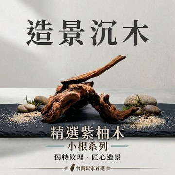 陸龜驛站｜造景沉木 水族造景木頭 園藝裝飾木 沈木 紫柚木 水草缸天然造景木 流木 爬蟲造景缸