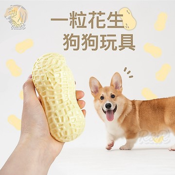 【現貨24H出貨】一粒花生 狗狗磨牙發聲玩具  /   TPR玩具 狗狗玩具  寵物玩具 磨牙玩具 潔牙玩具 發聲玩具