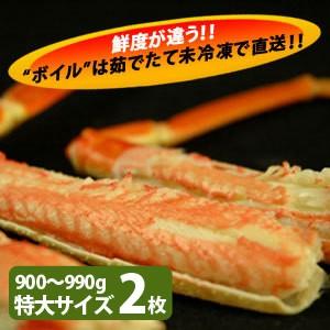 松葉がに（松葉ガニ）900g以上（特大サイズ）×2枚 日本海産 未冷凍 お歳暮ギフト 送料無料（北海道・沖縄を除く）