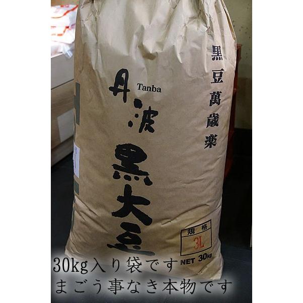 京丹波産 丹波黒大豆 生(3L)  300g 令和4年度産 飛切