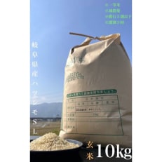 養老町産　岐阜ハツシモ　10kg　玄米　全3回