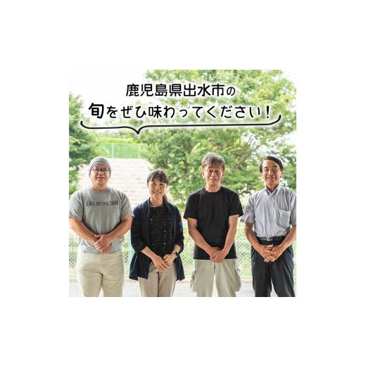 ふるさと納税 鹿児島県 出水市 i460 旬の野菜・果物おまかせセット(8〜10種類)ツルの恩返し野菜セット！鹿児島県出水市より国産野菜を市場直送！【出水市出水…