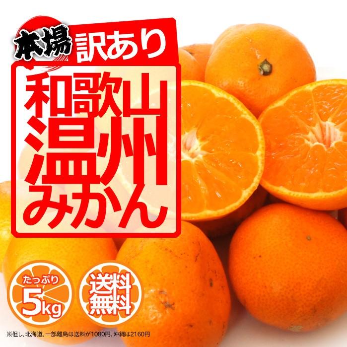 送料無料 みかん 5kg （箱込約5kg）訳あり ご家庭用 和歌山県産 産地直送  無選別 わけあり 甘いミカン