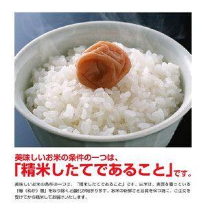 米 日本米 令和4年度産 福井県産 ミルキークイーン 2kg