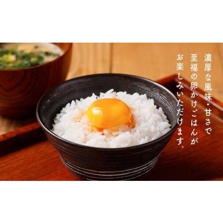 ふるさと納税 産みたて土佐ジロー卵（６ヶ入り×2パック）と高知の季節野菜セット 高知県高知市