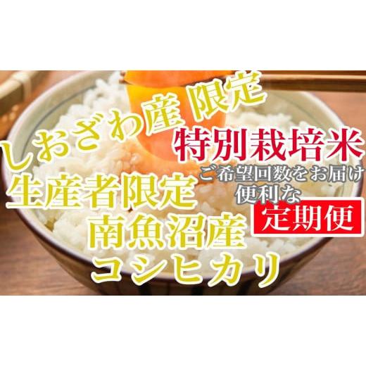 ふるさと納税 新潟県 南魚沼市 特別栽培 しおざわ産限定 生産者限定 南魚沼産コシヒカリ