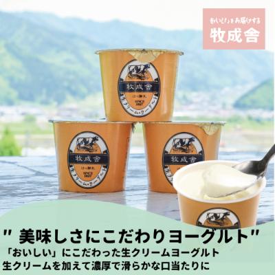 ふるさと納税 飛騨市 飛騨の牛乳屋・牧成舎の牛乳オリジナルドリップコーヒーヨーグルト