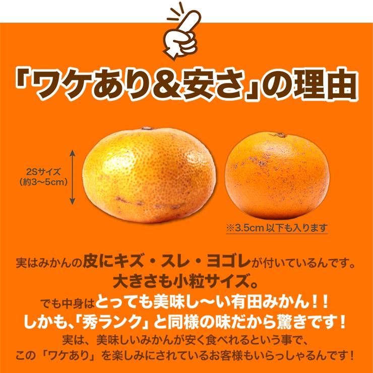 訳あり みかん 小粒 有田 こつぶみかん 蜜柑 ミカン 2.5kg  和歌山 産地直送 箱買い 自宅用 糖度　2.5キロ 和歌山県　小さめ 小さい 安い