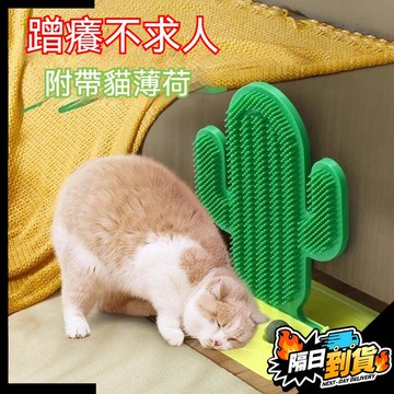 【現貨⚡ 隔日達】貓抓板 貓玩具 貓咪蹭癢器 牆角蹭毛器 立式多功能神器 仙人掌蹭癢梳 貓梳子 蹭毛器 止癢器