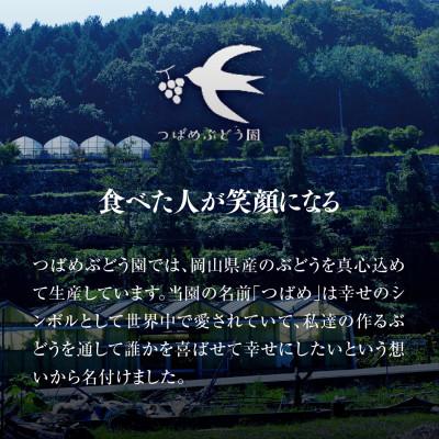 ふるさと納税 津山市 シャインマスカット プレミアムクラス(岡山県産)1房900g以上