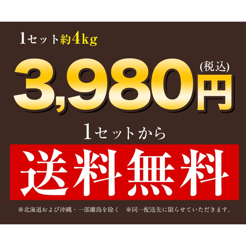 秀品 天草 ぽんかん 約4kg 送料無料 Lサイズ限定 贈答  果物 フルーツ お取り寄せグルメ 12月中旬-12月末頃より発送予定