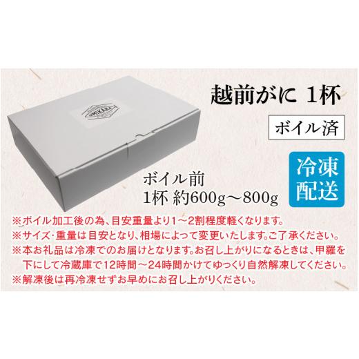 ふるさと納税 福井県 高浜町 福井県産 越前がに×1杯（プロトン凍結）