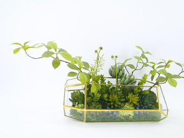 多肉植物溫室生態玻璃 免運專人配送限雙北市 其餘地區需補運費