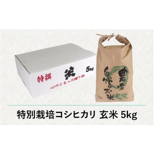 ふるさと納税 福井県 大野市 減農薬・減化学肥料の特別栽培コシヒカリ 玄米 5kg