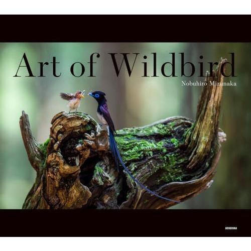 Art of Wildbird