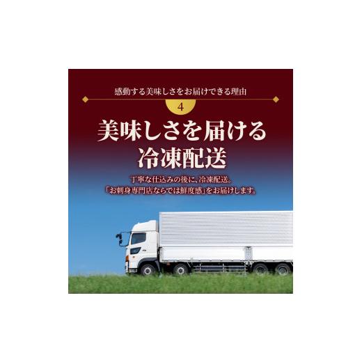 ふるさと納税 宮崎県 延岡市 日向灘ぶりと真鯛の漬け丼2種食べ比べセット　100g×8袋　N019-ZA828