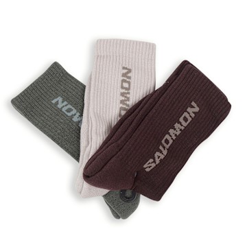 Salomon 休閒襪 Everyday Crew 咖啡 棕 粉紅 灰 長襪 襪子 穿搭 薩洛蒙 3雙入 LC2628400