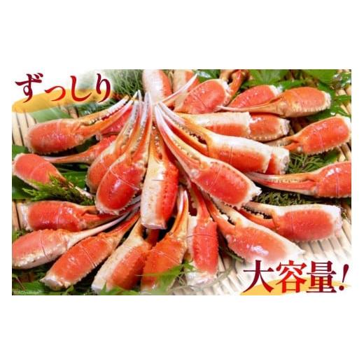 ふるさと納税 宮城県 気仙沼市 リピーター続出！ 本ずわいがに爪 約700g [カネダイ 宮城県 気仙沼市 20562842] 蟹 かに カニ ずわいがに ズワイガニ ずわい蟹 …