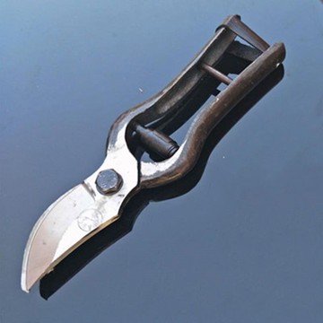 家用老式省力園藝剪子桑花剪果樹園林樹枝專用剪刀修枝剪神器工具