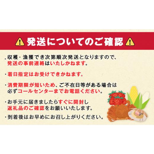 ふるさと納税 北海道 千歳市 北海道 千歳産 とうもろこし １本430ｇ以上 25本 恵味スター 野菜 トウモロコシ 甘い 旬 夏 BBQ ＜ファーム安澤＞