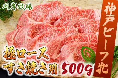 神戸ビーフ 牝 極みロースすき焼き用 500ｇ[659] 神戸牛