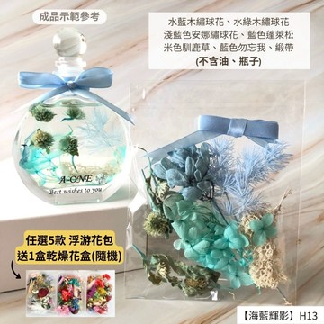 【A-ONE】浮游花DIY花卉包 乾燥植物 羊齒 裝飾花 繡球花 乾花花卉包 天然風乾 羊齒 蓬萊松 H13海藍輝影_廠商直送