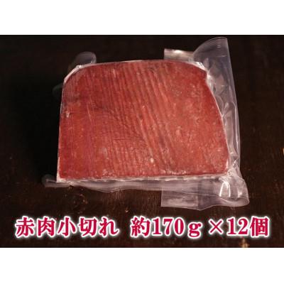 ふるさと納税 長崎市 赤肉小切れ 約170g ×12個セット