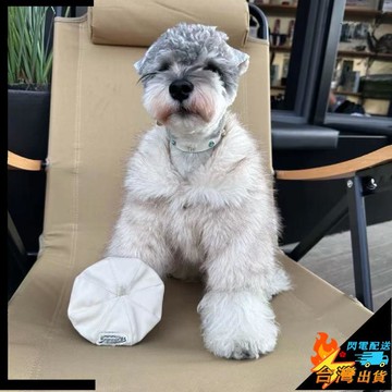 【台灣出貨】寵物衣服 貓咪衣服 狗狗衣服 寵物毛絨外套 秋冬保暖加厚 雪納瑞 比熊 貴賓 柴犬 西高地 顯氣質 皮草外套