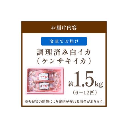 ふるさと納税 イカ・イカ焼き用「冷凍」／BBQに最適！ 白イカ（ケンサキイカ） 調理済み 正味1.5kg（6〜12匹） ※小分け真空包装 イカ焼き・イ.. 京都府京丹後市