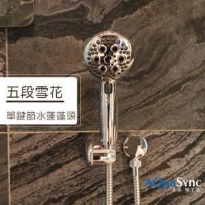 水美．五段雪花單鍵節水蓮蓬頭2入