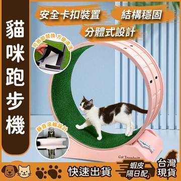 【台灣現貨】貓咪跑步機 貓咪健身運動 貓咪滾輪 貓爬架 貓玩具 貓跑輪