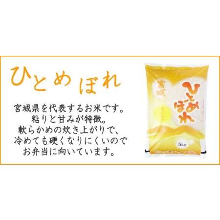 ふるさと納税 令和5年産宮城県登米市産ひとめぼれ精米　５kg×２個セット 宮城県登米市